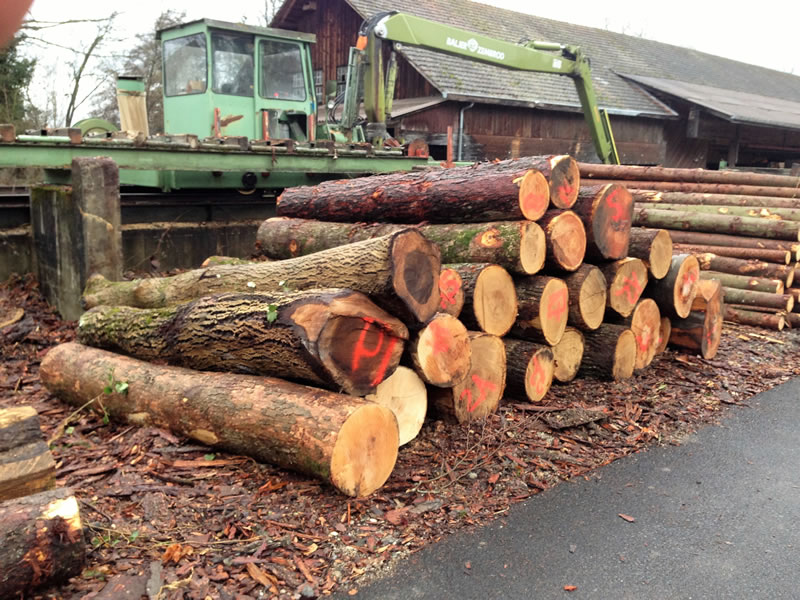 Massivholz und Holzdeklaration